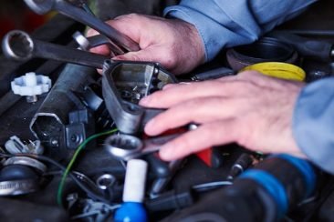 tranmision tranmision